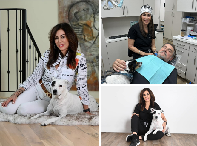 Doctor Alani next to therapy dog lying on top of patient in dental chair