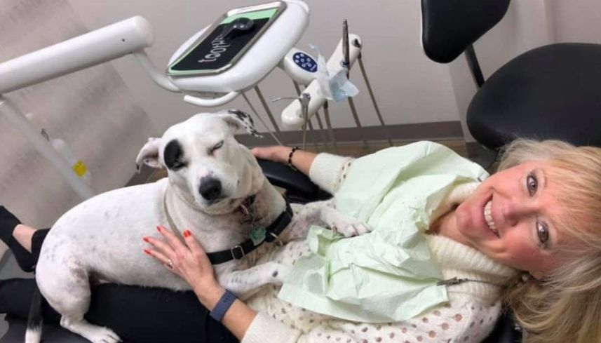 Piper laying on lap of blonde woman in dental chair