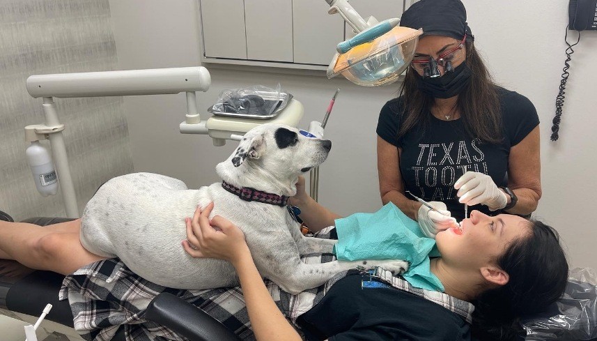 Piper laying on patient while Doctor Alani examines their mouth