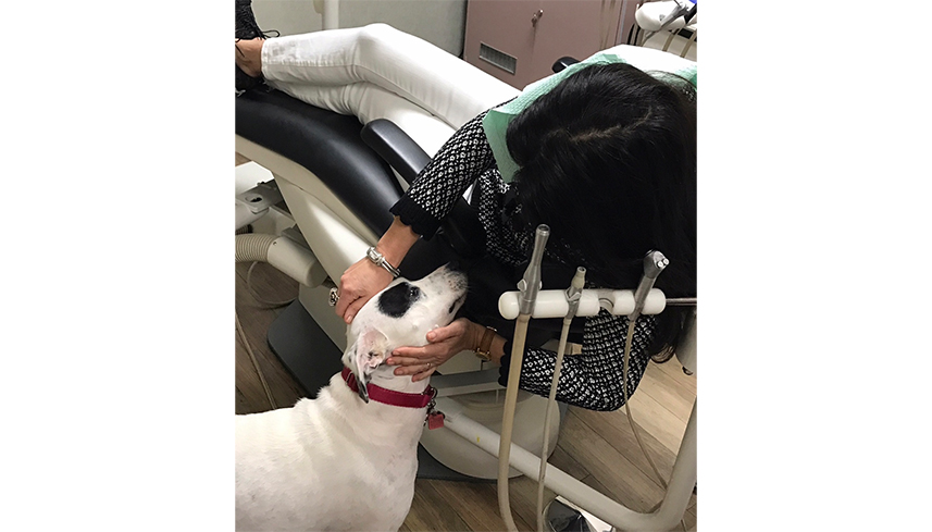 Dental patient petting Piper