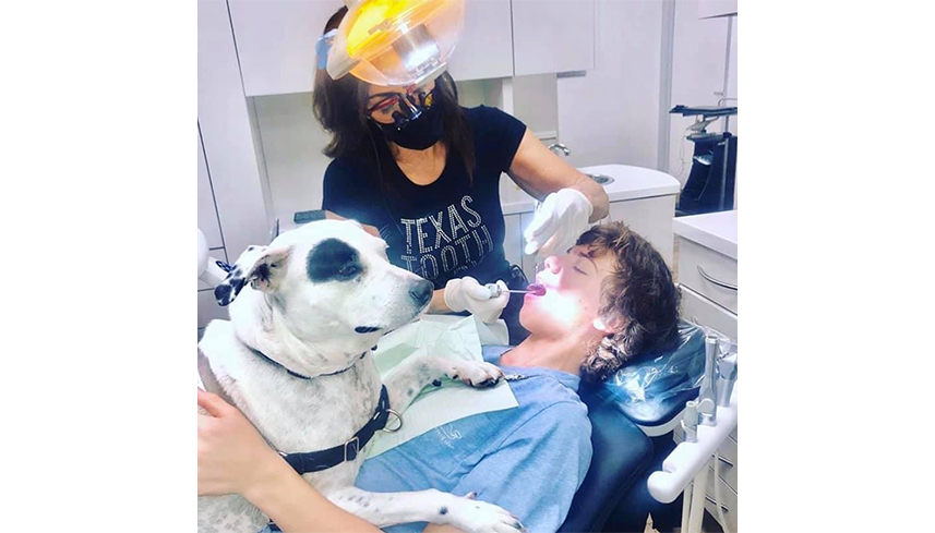 Young man getting dental treatment while Piper lays on him