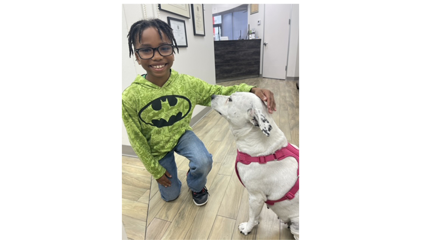 Young child smiling while petting white therapy dog wearing red harness