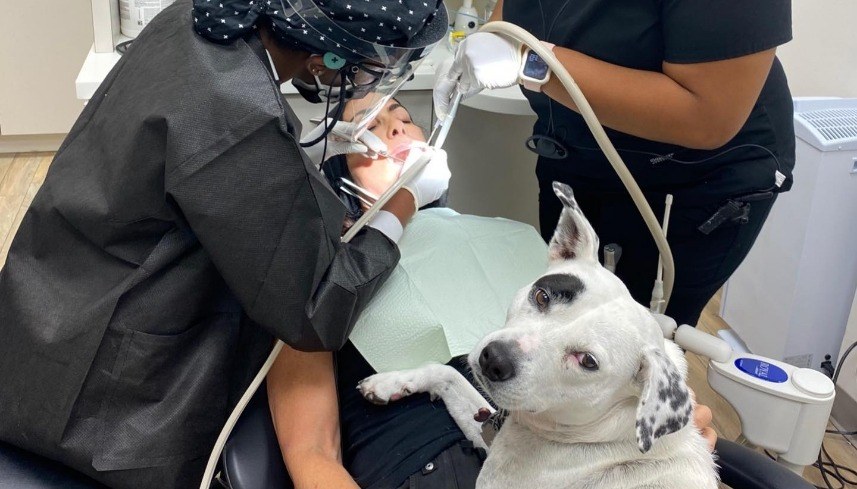 Piper turning to look at camera while laying on dental patient receiving treatment